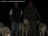 Un pastore della Transilvania con i suoi cani